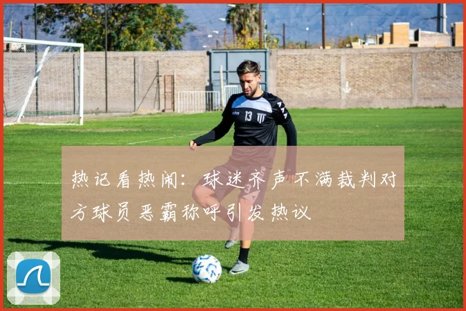 热记看热闹：球迷齐声不满裁判对方球员恶霸称呼引发热议