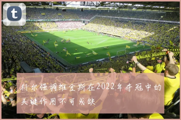 科尔强调维金斯在2022年夺冠中的关键作用不可或缺