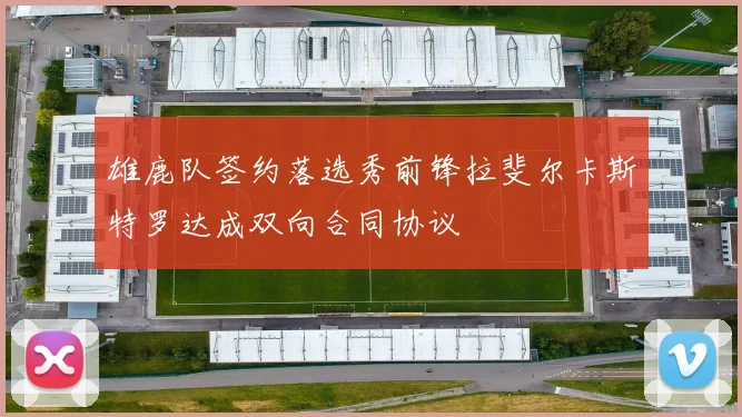 雄鹿队签约落选秀前锋拉斐尔卡斯特罗达成双向合同协议